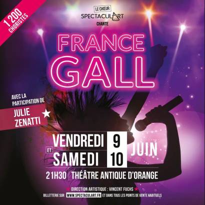 Spectacul'art chante France Gall