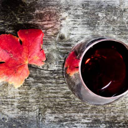 Wino Expérience - Apéritif vins et fromages à domicile