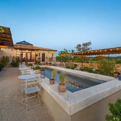 Les Terrasses d'Adrien - Producteur de Vins et d'Huiles d'olive