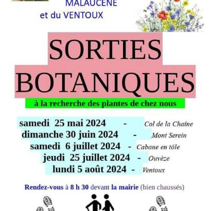 Sortie botanique à la recherche des plantes de chez nous : Ventoux