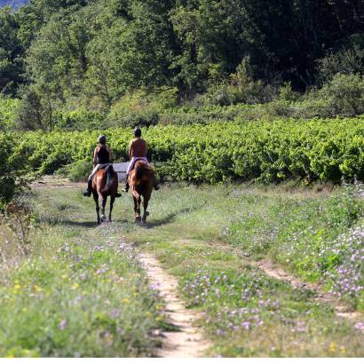 Cheval & Nature, découverte du Luberon et du voyage à cheval