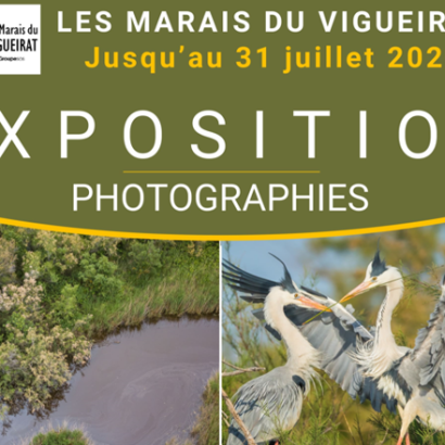 Exposition photographique Les Marais du Vigueirat Du 15 mai au 31 juil 2024
