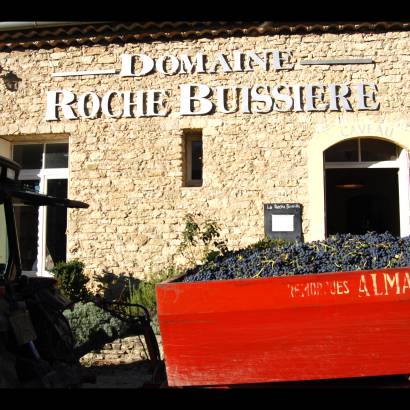 Visite de la cave - Domaine La Roche Buissière