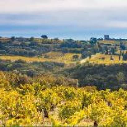 Sentiers AOC et biodiversité Châteauneuf-du-Pape