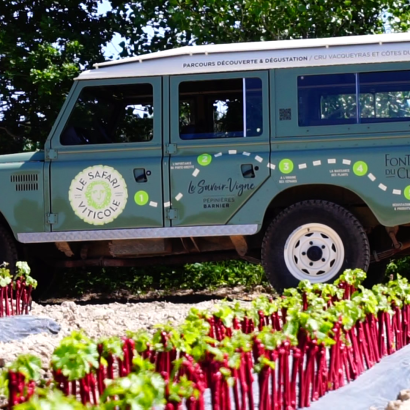 Safari Viticole en Land Rover au domaine Fontaine du Clos