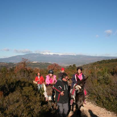 Festival Ventoux Saveurs : Randonnée accompagnée avec les ânes