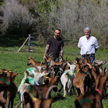 Festival Ventoux Saveurs : Visite de la ferme et dégustation de recettes de fromage de chèvre