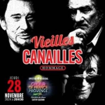 Vieilles Canailles Le 28 nov 2024