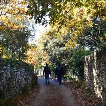 Rando gourmande Au pays de la truffe - avec Destination Luberon