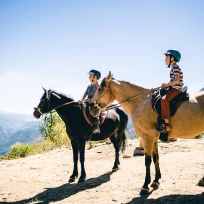 Préparation des galops de pleine nature avec Lucky Horse