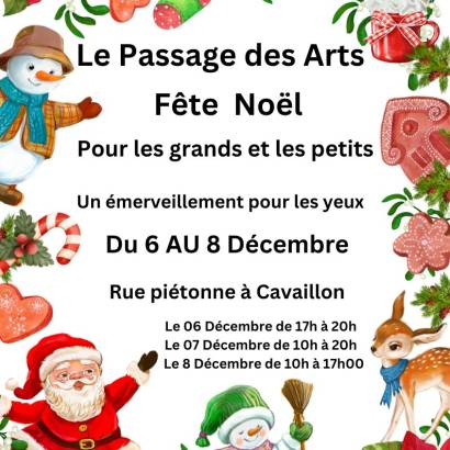 Marché de Noël au Passage des Arts