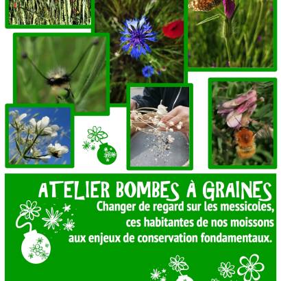 Atelier Bombes à Graines Le 13 nov 2024