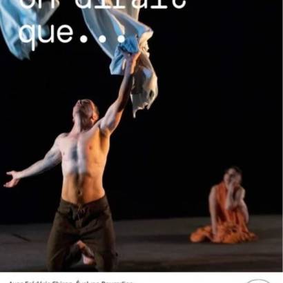 Théâtre/Danse : 