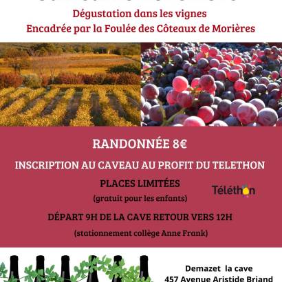 Randonnée vigneronne Le 23 nov 2024