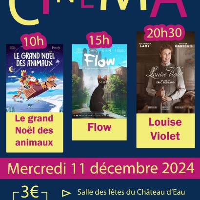 Cinéma - Flow