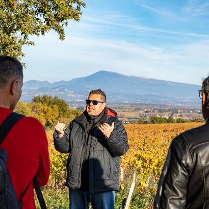 Découverte et visite des terroirs de Châteauneuf du Pape