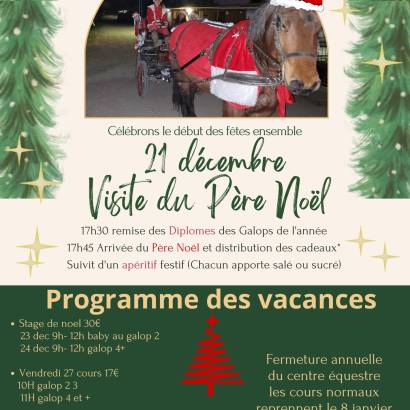 Vacances de Noël à La Martelière