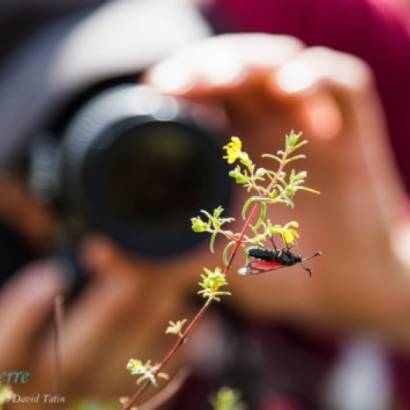 Regards sur la nature