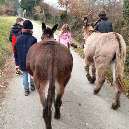 Sortie avec les ânes - programme d'animations avec Domaine des Adrès