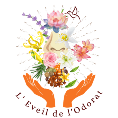 La spirale Arc-en-ciel des énergies olfactives - cycle des rencontres avec L'éveil de l'odorat
