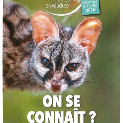 Rendez-vous Nature : Des oliviers et des hommes.