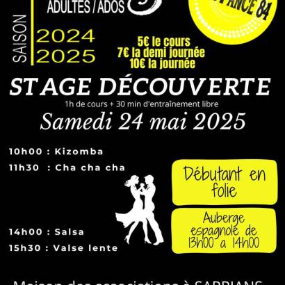 Stage découverte de danses