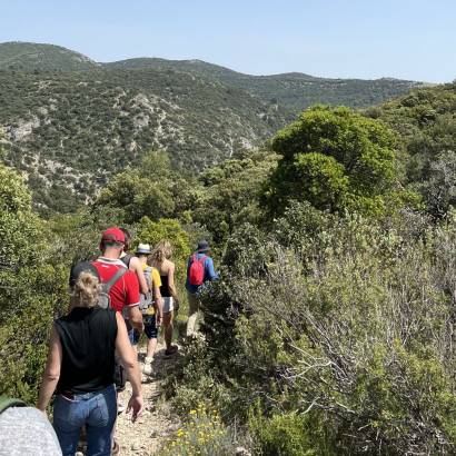 LAURIS - Portalas et biodiversité en chemin