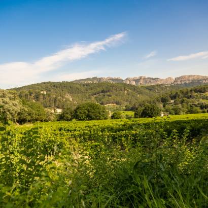 Visite en autonomie sur les pas des Bernardins