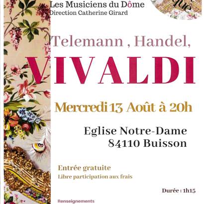 Les Musiciens du Dôme' concert