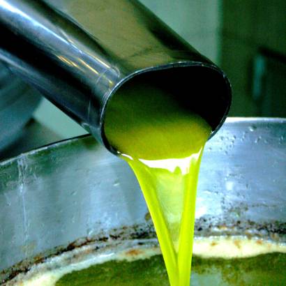 Ventoux Saveurs Festival: Comtat Oil Mill