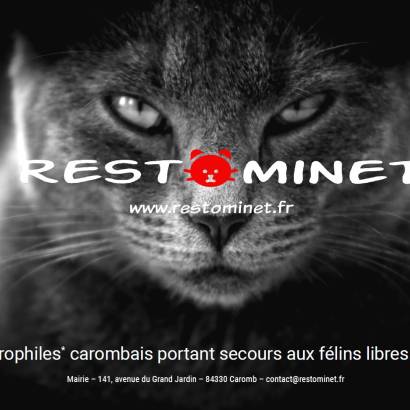 Association Restominet