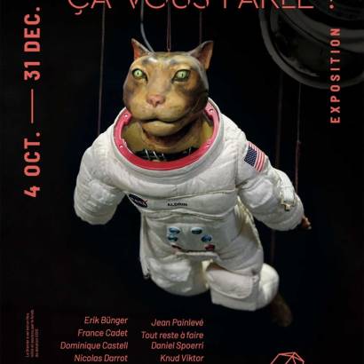 Do animals mean anything to you?