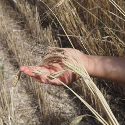 Atelier Tour du monde des Whiskys au château du Barroux