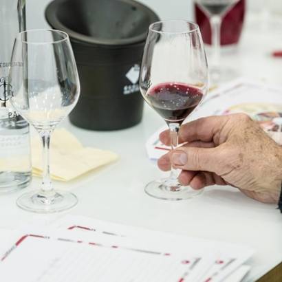 Wine School Workshop - Introductory tasting, the art of revealing secrets
