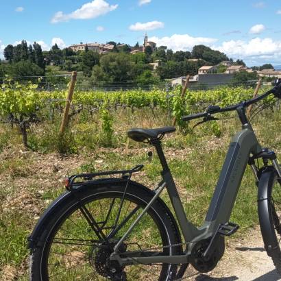 Avéloc (Groepen & Seminars)