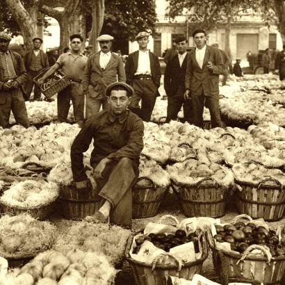 (Agri)Cultures - Exposition