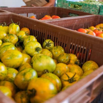 Montfavet farmers' market