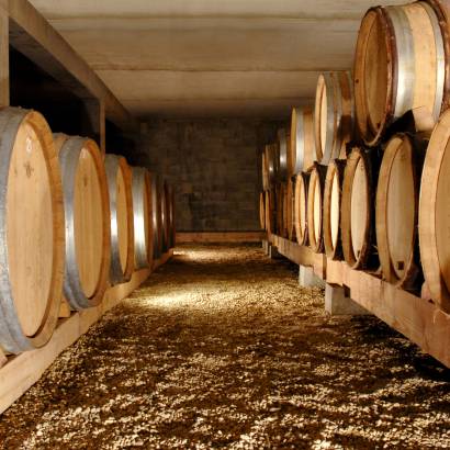 Winery tour and guided tasting - Domaine la Monardière