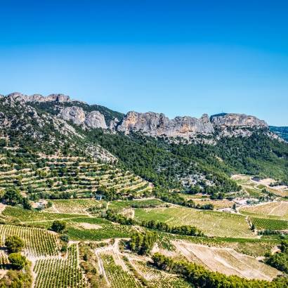 L’art de l’assemblage au Domaine de Coyeux