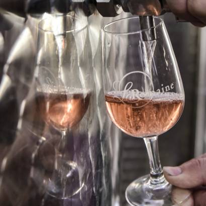 Introduction to oenology and wine tasting - Cave La Romaine