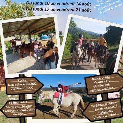 Camps au Poney Rouge
