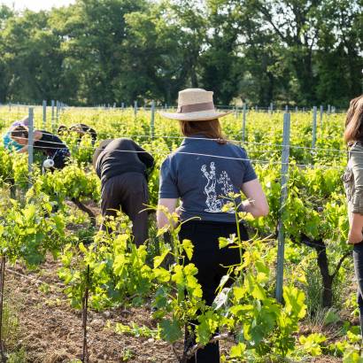 Winemaker Path