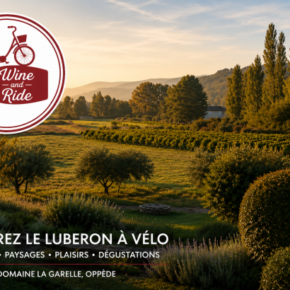 Balade à vélo électrique et dégustation de vins avec Wine and Ride