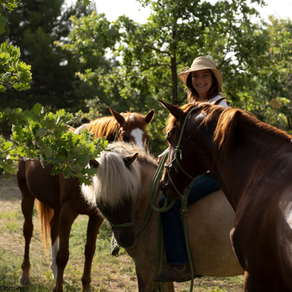 Ecurie des murmures - La relation Cheval-Humain au coeur du Luberon