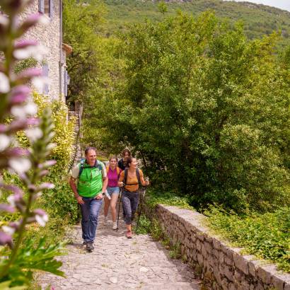 Ventoux Saveur Festival - Hikes and Meals at the Foot of Mont Ventoux