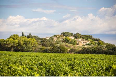 7 - The Plan de Dieu vineyards between Aygues and Ouvèze
