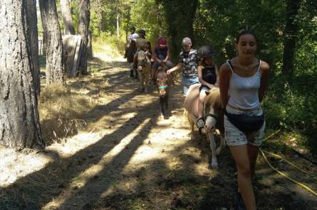 Les écuries de Bacchus, la mini ferme du Ventoux