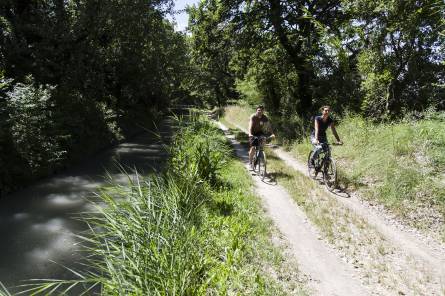 20 - Autour du Canal de Carpentras