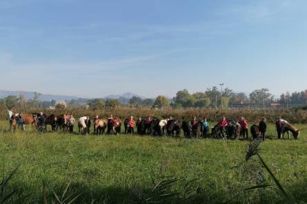 Écuries du Brégoux