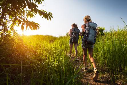Adventure through vineyards and hills